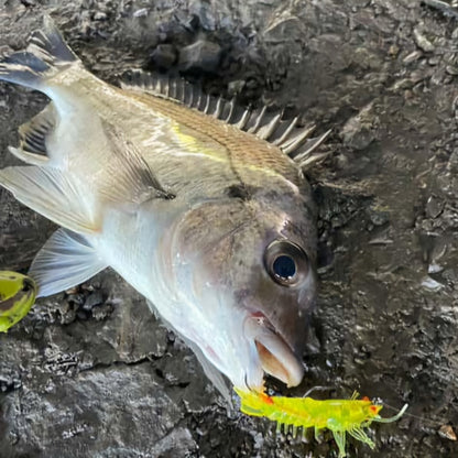 Stinger Shrimp 55 Finesse