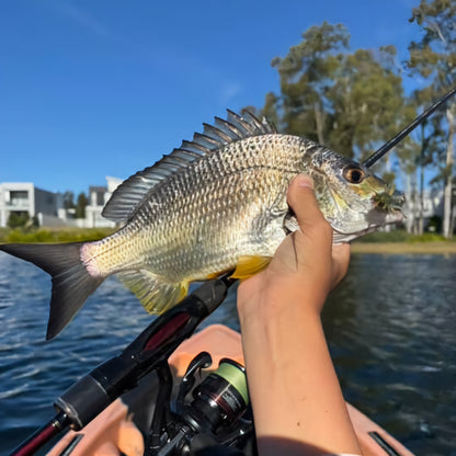 Stinger Shrimp 55 Finesse