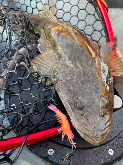 Stinger Shrimp 55 Finesse