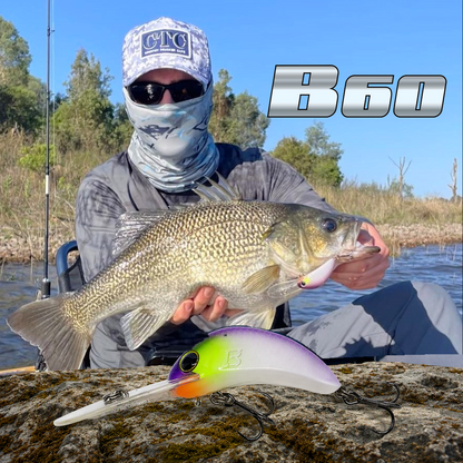 B60 Diver