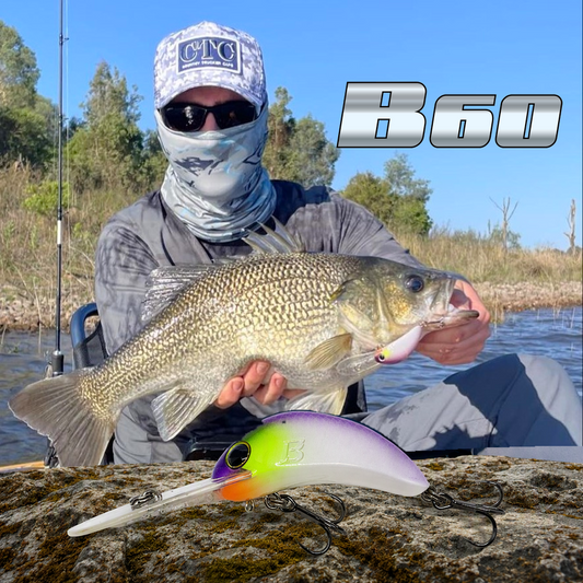 B60 Diver
