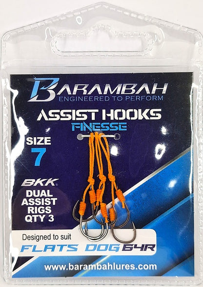 Dual Assist Hooks