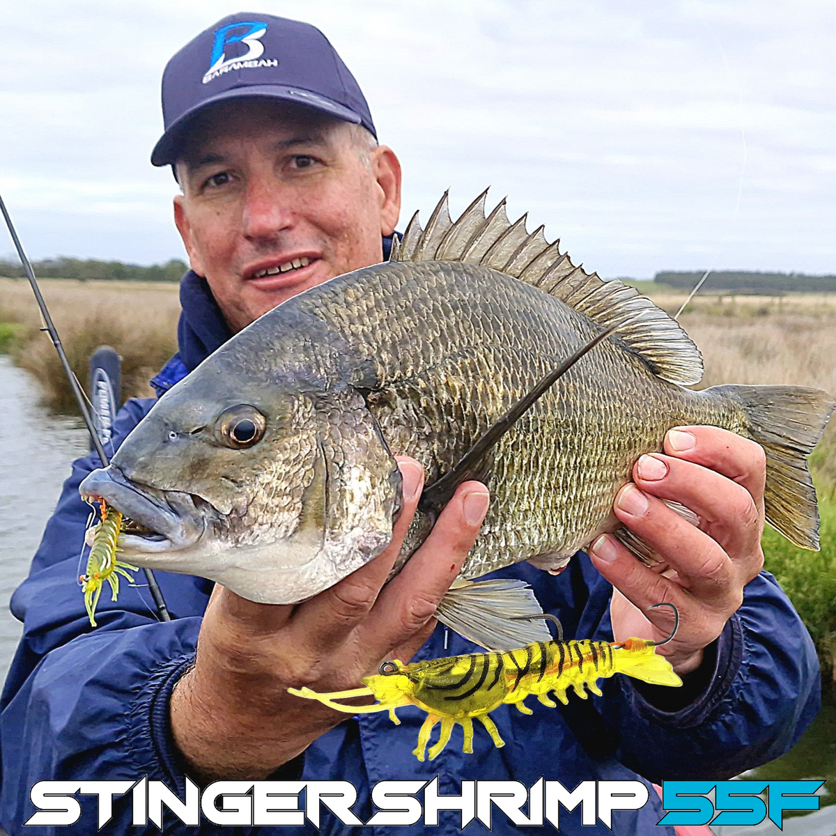 Stinger Shrimp 55 Finesse