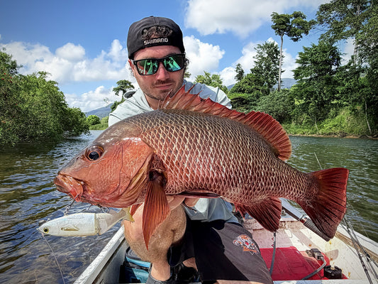 Mullet Glide 135F