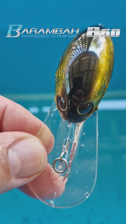 B60 Diver