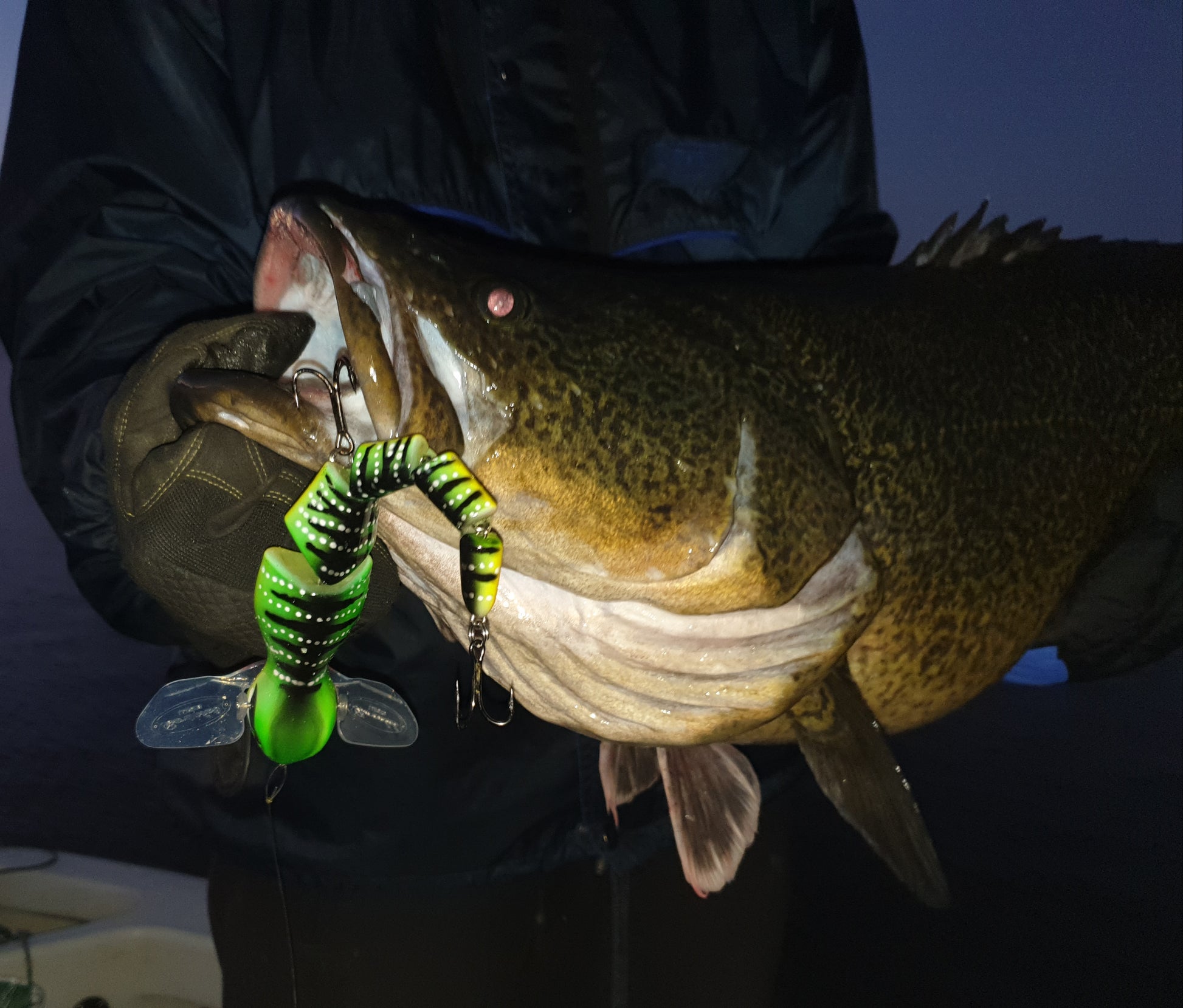 Bidjiwong 200 Surface Lure - Murray Cod Topwater Bait